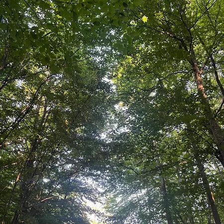 Kuca Za Odmor Ivana *