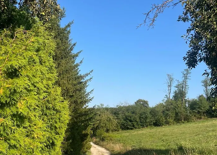 Kuca Za Odmor Ivana 펜션 Arilje