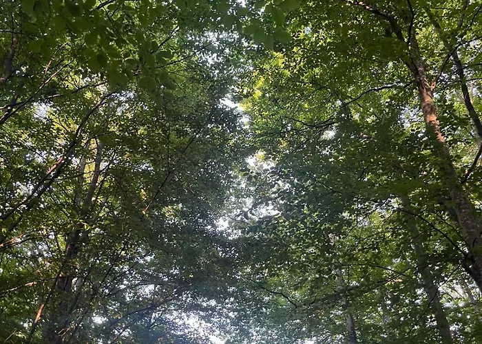 Kuca Za Odmor Ivana *